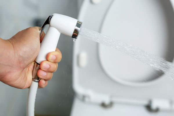 Bidet Installation in Palm City