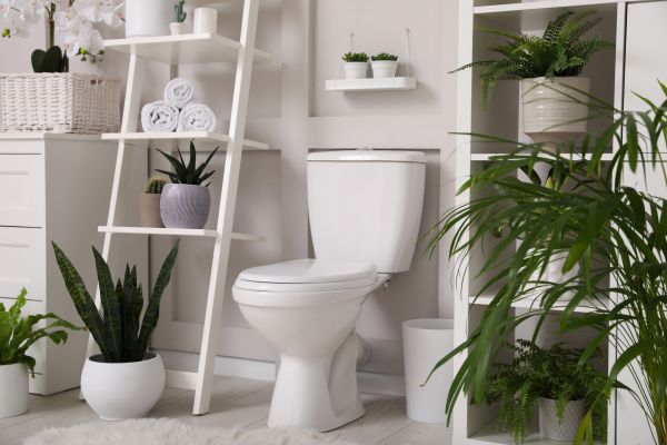 Cost of Toilet Repair in Palm City