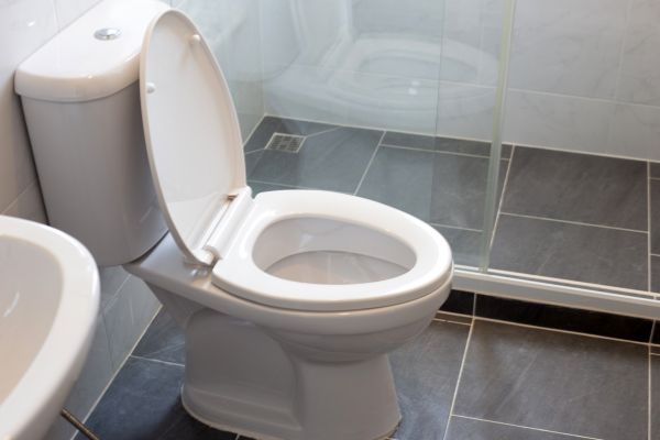 Toilet Replacement in Palm City