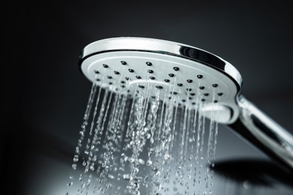 Cost of Shower Head Replacement in Palm City