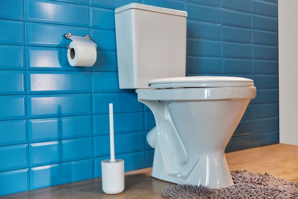 Cost of Toilet Tank Repair in Palm City