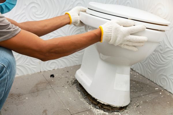 Cost of Toilet Removal in Palm City