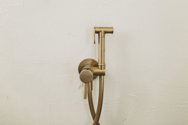 Bidet Plumbing in Palm City