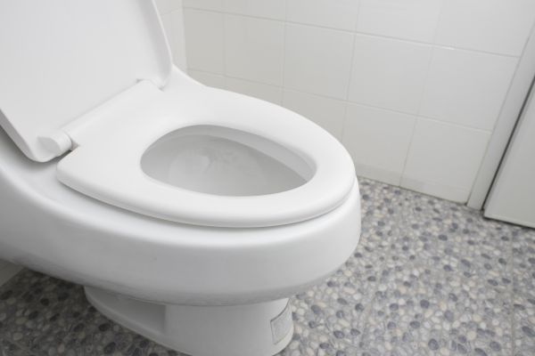 New Toilet Installation in Palm City