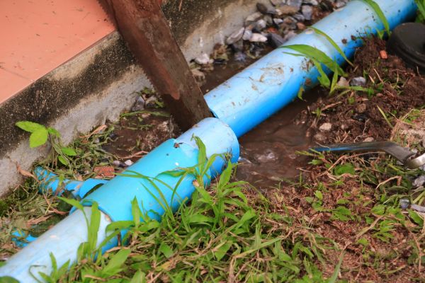 Cost of Broken Pipe Replacement in Palm City